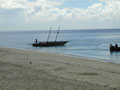 Zanzibar bungalow and villa rentals