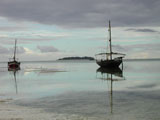 Villa and bungalow rentals in Zanzibar