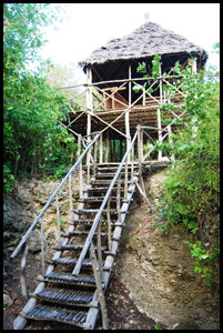 La hutte de Robison Crusoé