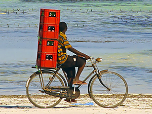 Villa and bungalow rentals in Zanzibar