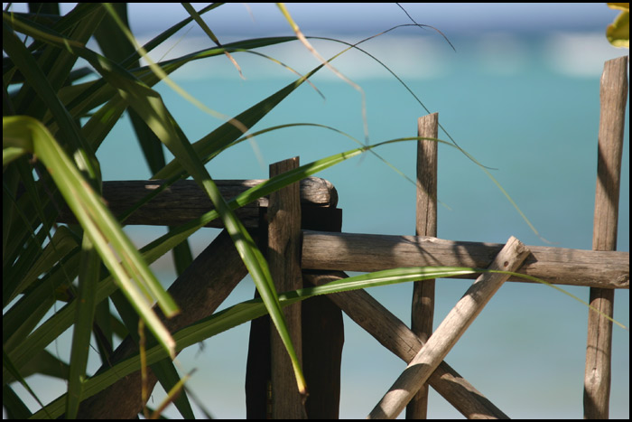 Villa and bungalow rentals in Zanzibar