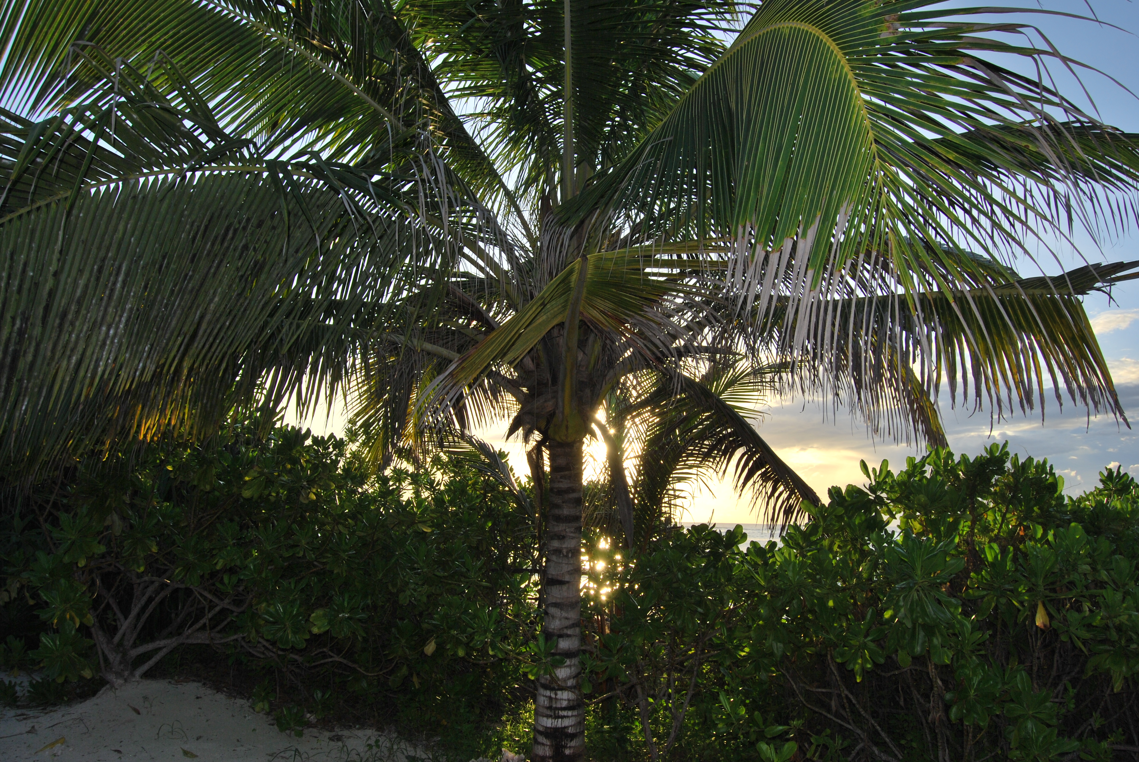 Zanzibar plage