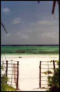 Villa and bungalow rentals in Zanzibar