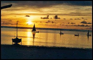 Villa and bungalow rental in Zanzibar