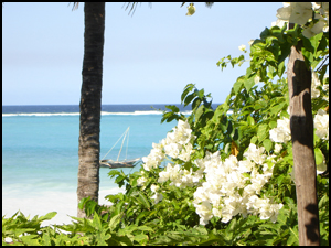 Villa and bungalow rentals in Zanzibar