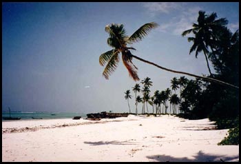 Bungalow and Villa for rent in Zanzibar