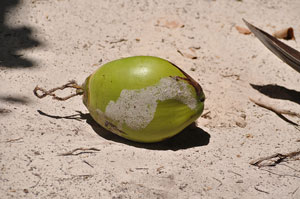 Zanzibar beach