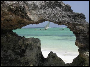 Villa and bungalow rentals in Zanzibar