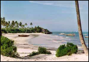 Locations villa et bungalow àZanzibar, Zanzibar maison vacances, Zanzibar villa vacances, Zanzibar bungallow vacances, Zanzibar location vacances